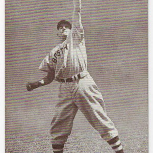 1947-1966 Exhibits Johnny Pesky