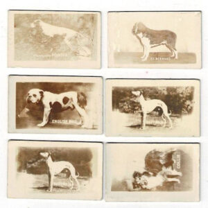Lot of 6 1948 Topps Magic Photos Dogs